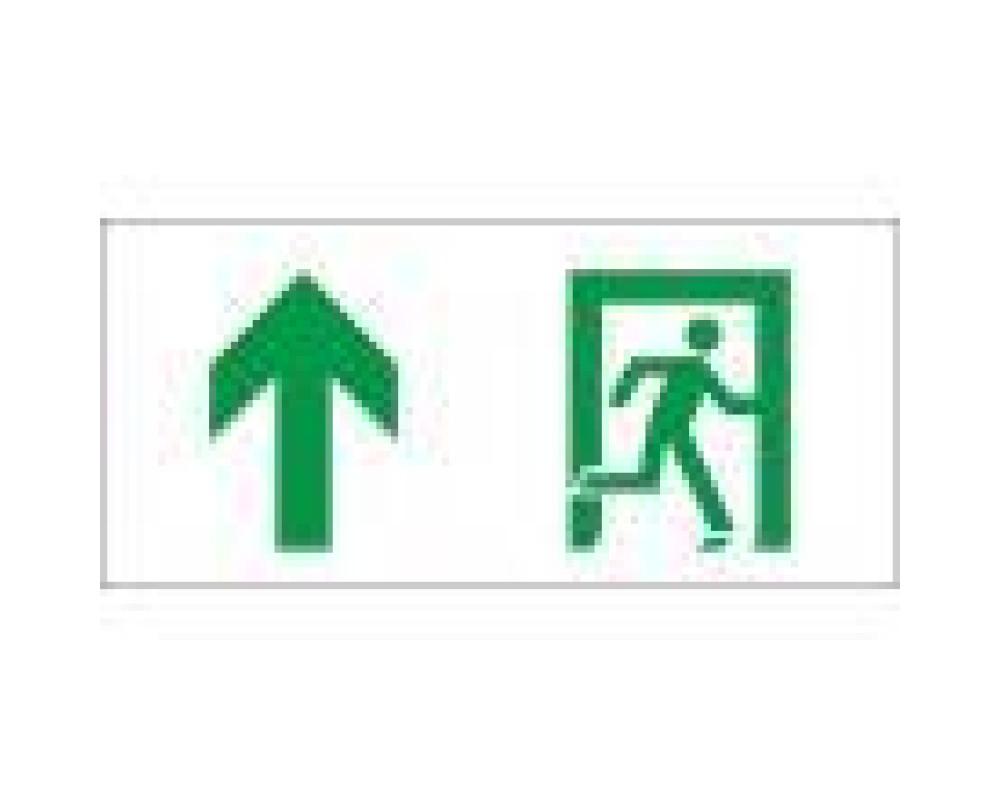 Аварийный светильник EHP2-01 08 Аварийный светильник EHP2-01 08