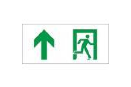 Аварийный светильник EHP2-01 08